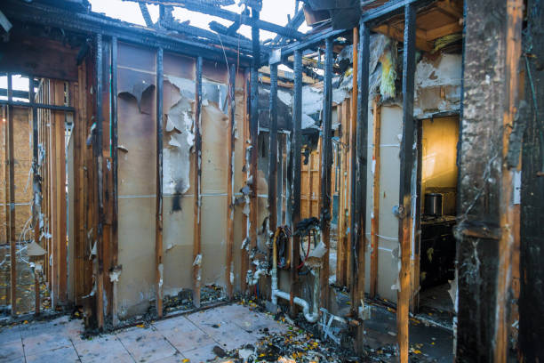 Professional Smoke Damage Removal technician working in Lemoore Station, CA